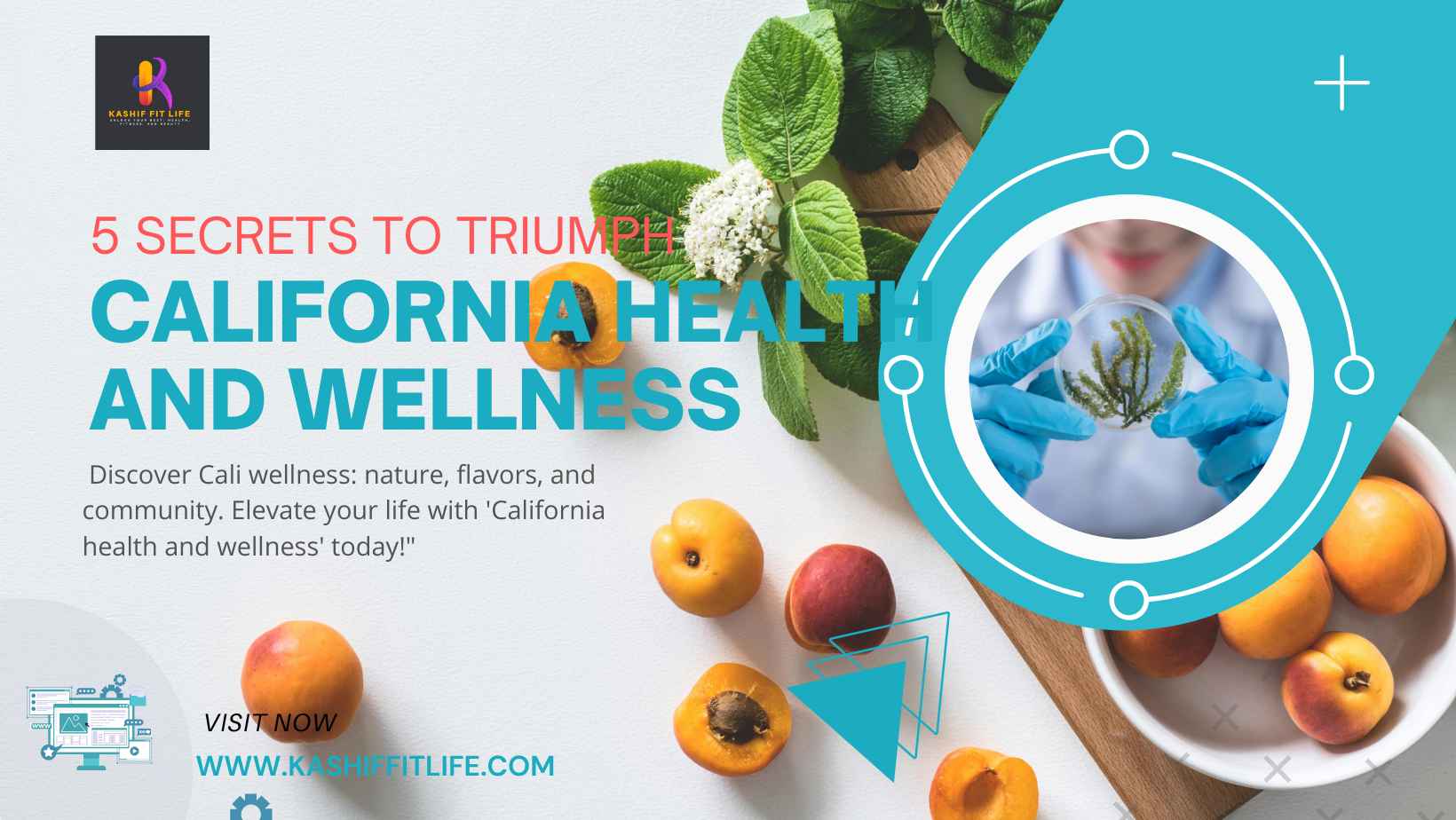 California Health and Wellness
